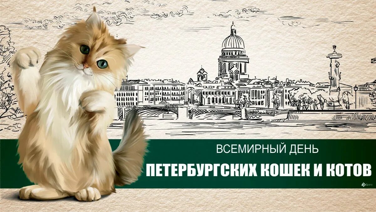 Всемирный день котиков. Всемирный день кошек. Открытки Всемирный день петербургских котов и кошек. Открытки с днём петербургских кошек и котов. 8 Июня день петербургских котов.