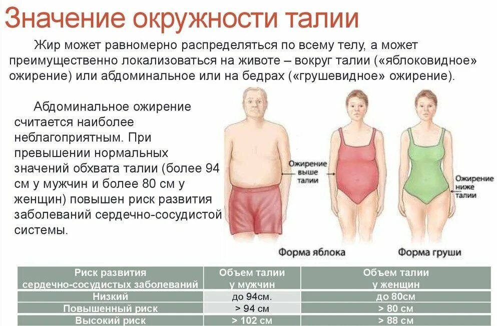 Нормальная окружность талии у женщин. Окружность живота при ожирении. Абдоминальное ожирение формула расчета.