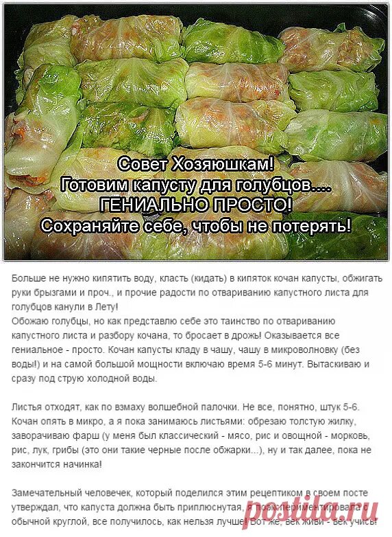 Как быстро снять листья для голубцов Капуста для голубцов ДОМАШНИЙ ОЧАГ Медиаплатформа МирТесен