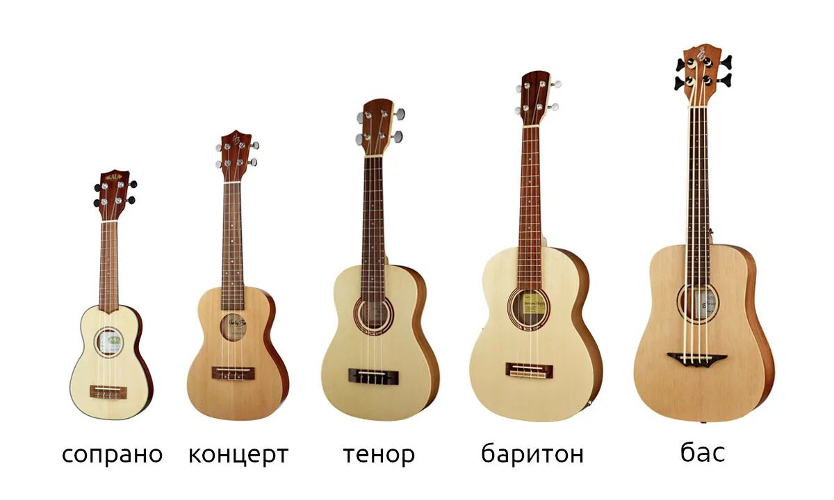 Чем отличается бас гитара от электрогитары. Укулеле сопрано концерт тенор. укулеле сопрано концерт тенор баритон бас. укулеле сопрано концерт тенор баритон. мензура укулеле сопрано.