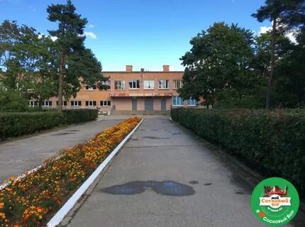 Дневник сосновый бор