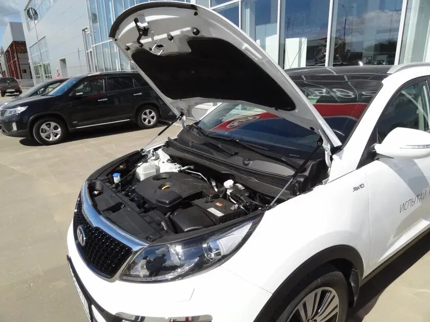 Амортизатор капота киа. Газовые упоры Kia Sportage 3. Sportage SL упоры капота. Упоры капота Киа Спортейдж 3. Кия Спортейдж 3 амортизаторы капота.