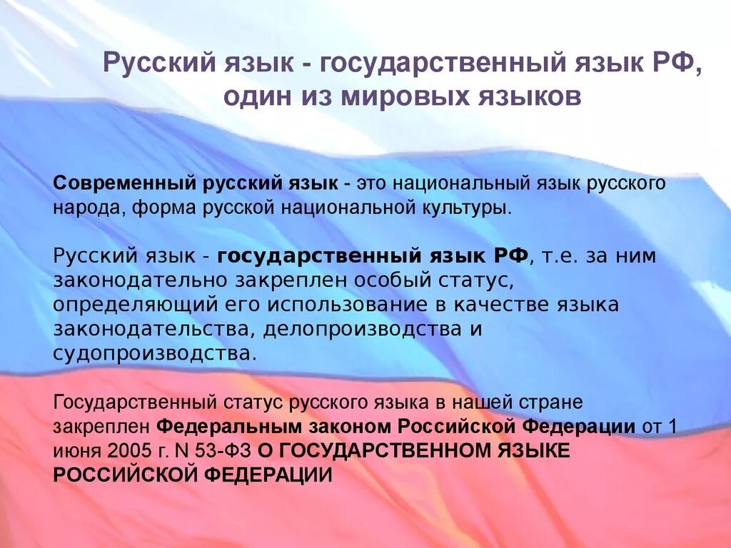 Основные языки рф. Современный русский язык. Русский язык государственный. Русский язык в современном мире. Русский язык в Российской Федерации.