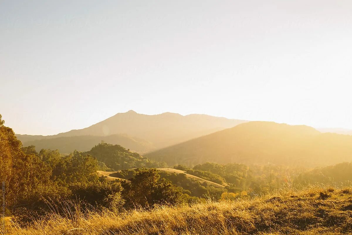 Rolling hills. Horizontal Lands.