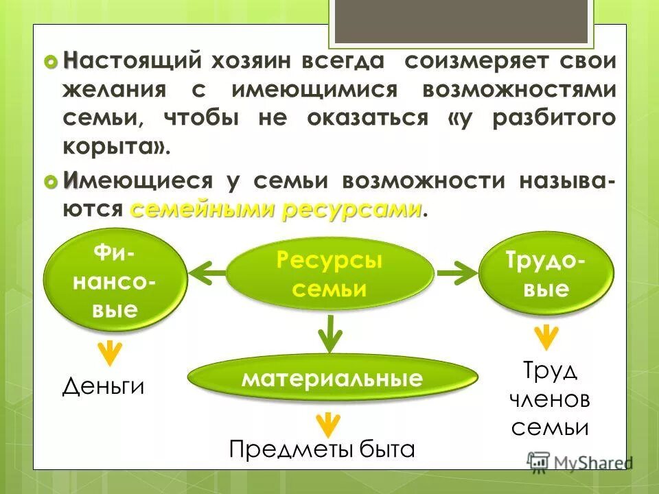 настоящий хозяин дома. настоящий хозяин дома. дом для собаки. настоящий хозяин дома. много котов в квартире.