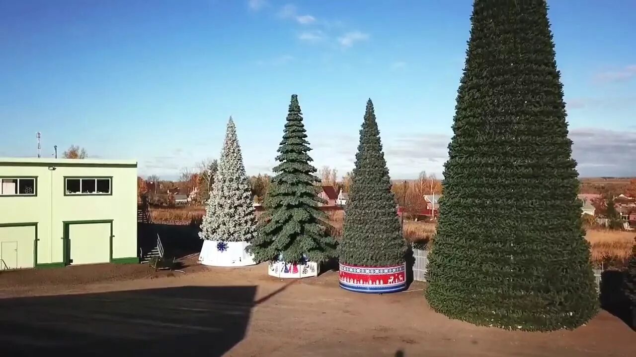 Грин елки. Ель ствольная &quot;альпийская&quot; изумрудная. фабрика елок green trees. грин елка нововоронеж. green trees елки искусственные.