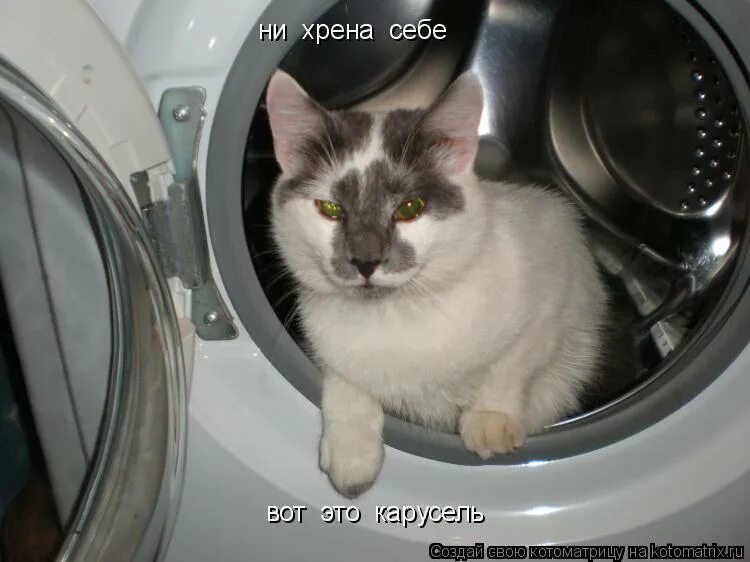 ни хрена не знаю. бородач фразы. шутки про уроки с детьми. что значит я не знаю. лицо человека когда он хочет чихнуть.