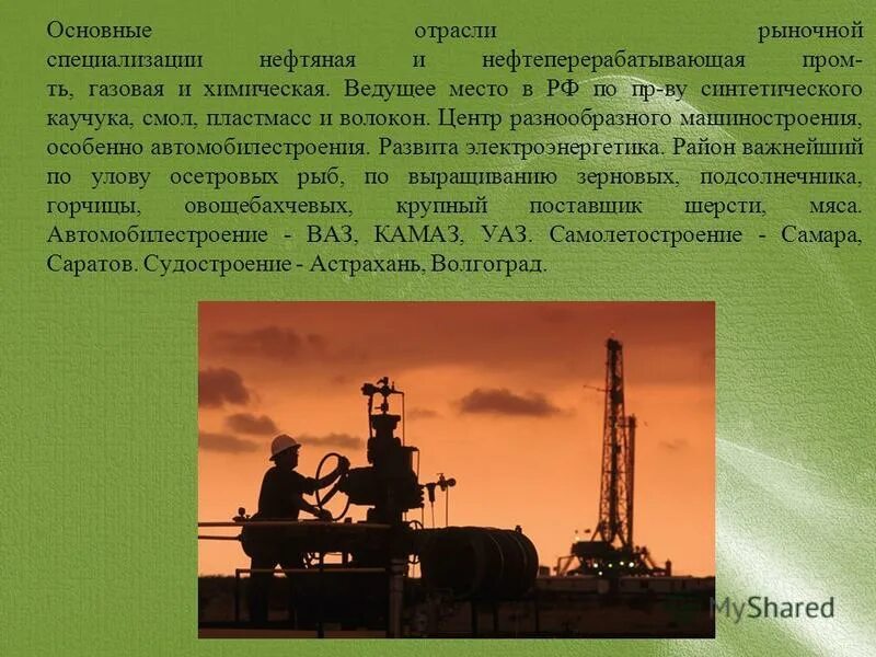 отрасли рыночной специализации