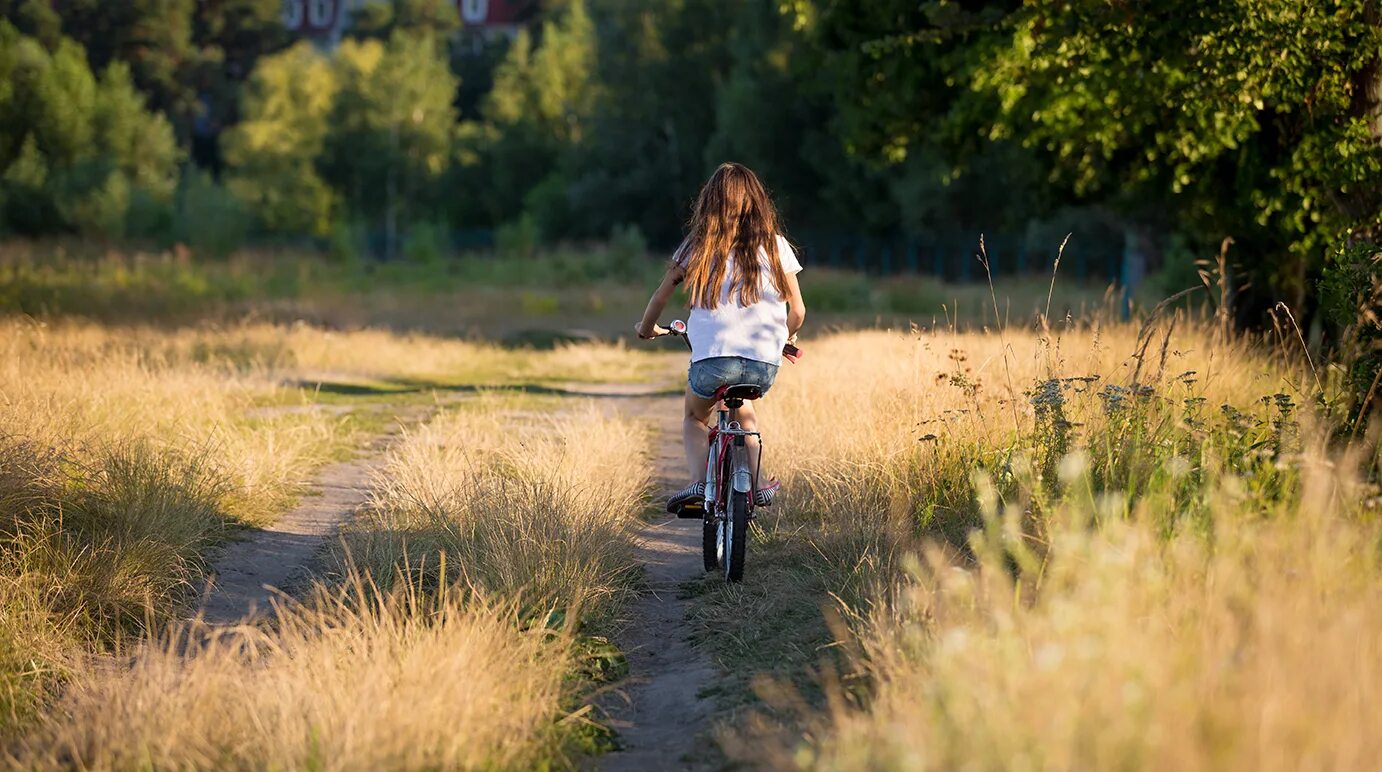 велосипедист едет со скоростью 24 км ч. скорость движения автомобиля. решение задач на встречное движение. велосипедист ехал 2 часа по лесной дороге и 1 час по шоссе всего. 16 км ч.