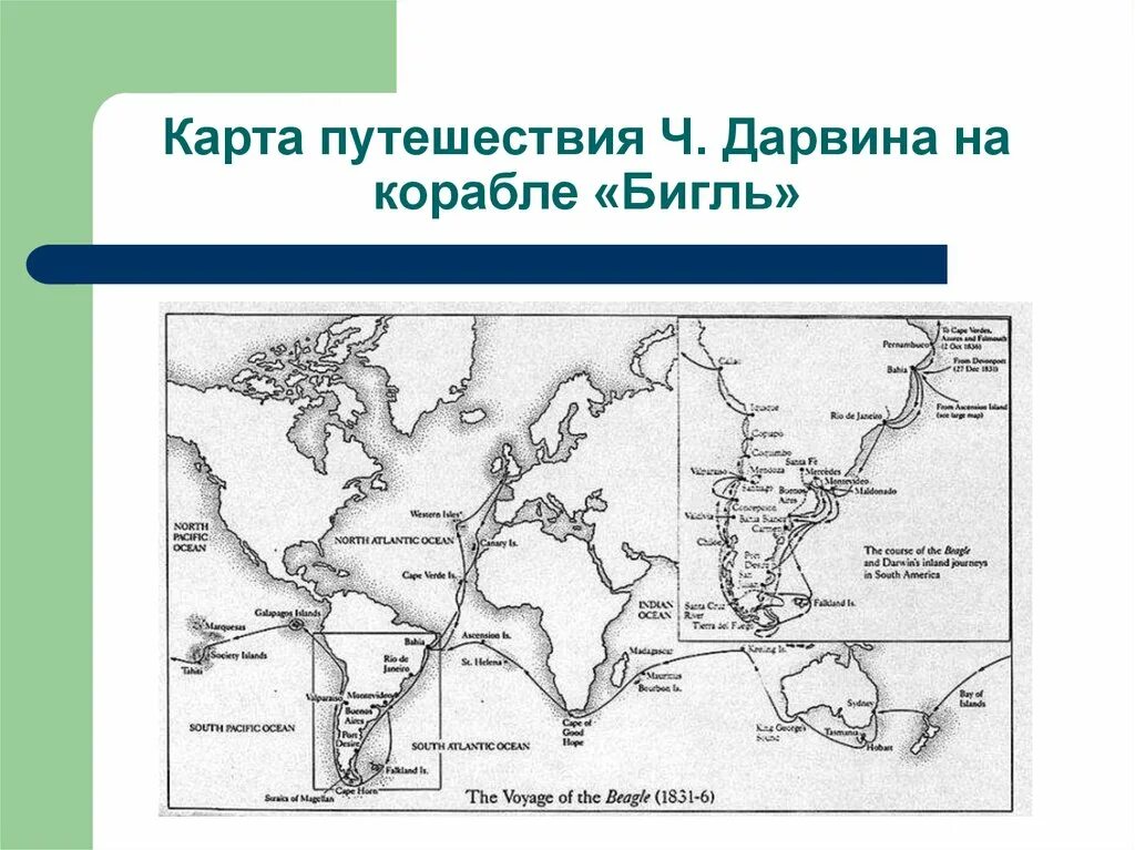 Ч дарвин кругосветное путешествие. Кругосветное путешествие Дарвина на корабле Бигль. Карта путешествия ч Дарвина на корабле Бигль. Путешествие Чарльза Дарвина на корабле Бигль маршрут.