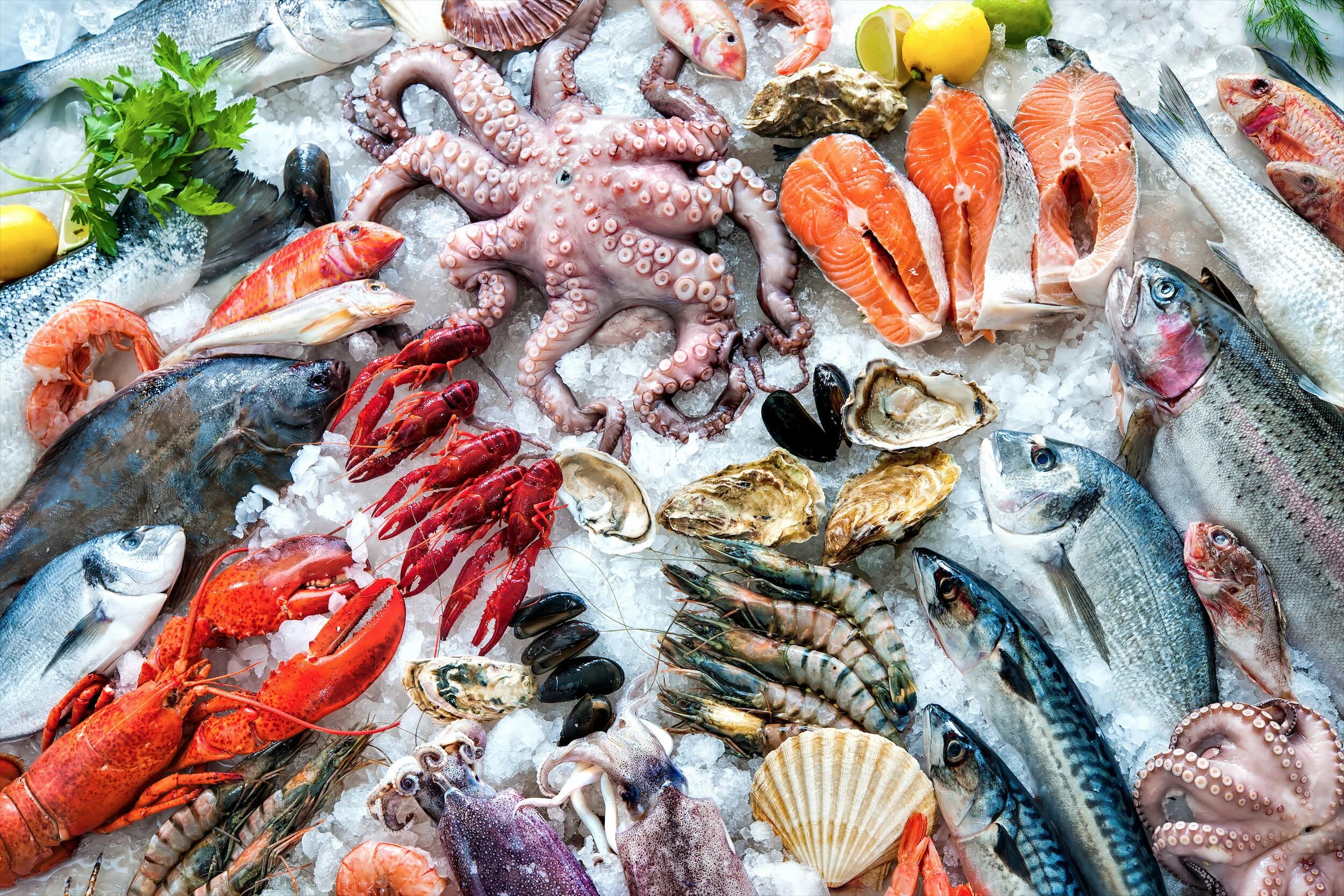 Морепродукты. Рыба и рыбопродукты. Красивые морепродукты. Морские продукты.