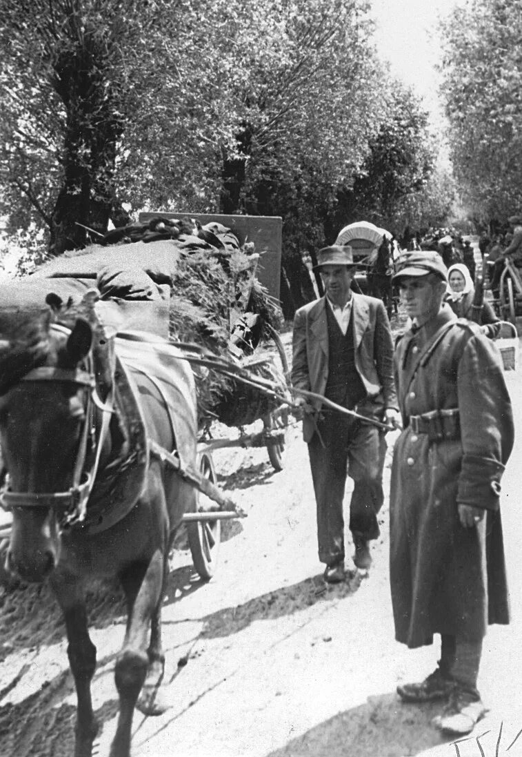 Операция висла проведена. Операция Висла 1947. Депортация украинцев 1944-1951. Депортация украинцев из Польши 1944. Депортация западных украинцев.