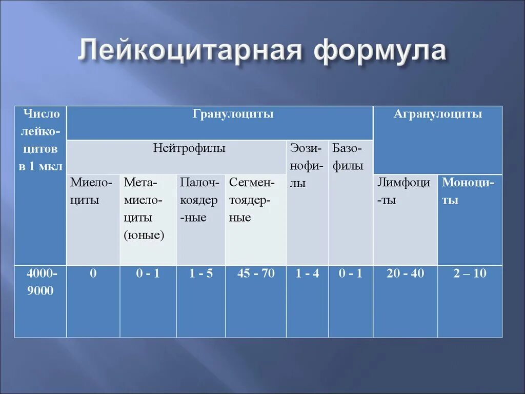 Лейкоцитарная формула расшифровка у взрослых. Лейкоцитарная формула крови физиология. Лейкоцитарная формула гранулоциты. Лейкоцитарная формула нейтрофилы. Лейкоцитарная формула обозначения.