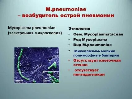 Возбудители воздушно капельных