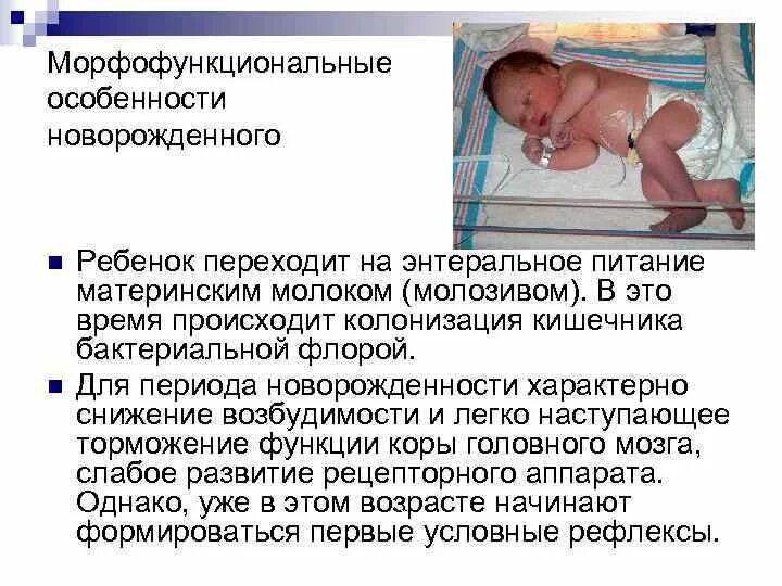Признаки новорожденности. Характеристика новорожденного. Особенности новорожденного ребенка. Период новорожденности особенности ребенка. Кишечник у грудного ребенка.