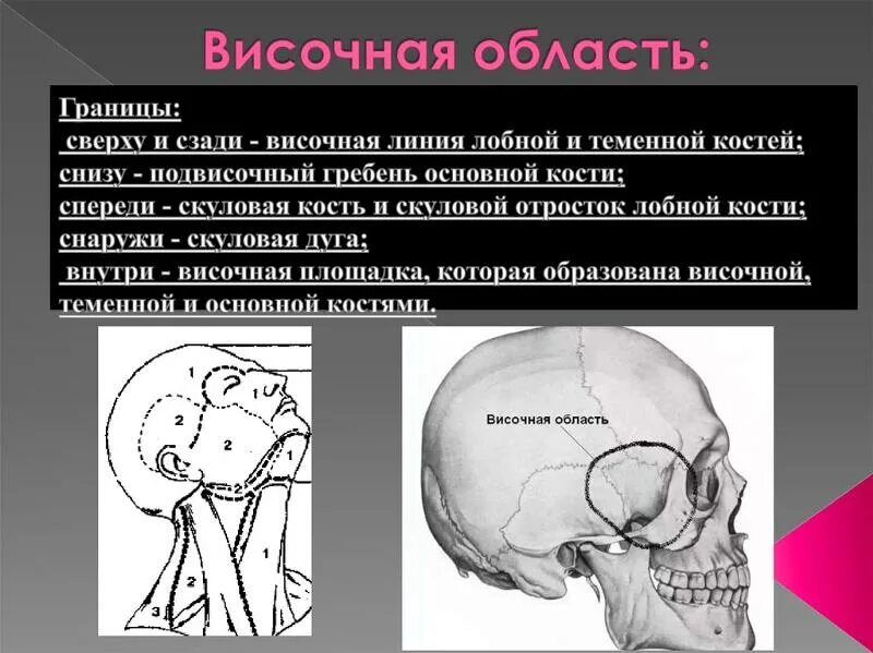 Что будет если ударить в висок. Нервы височной области свода черепа. Топография височной области мозгового отдела. Височная область топографическая анатомия. Анатомия височной области головы.