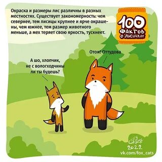 Лиса интересные факты