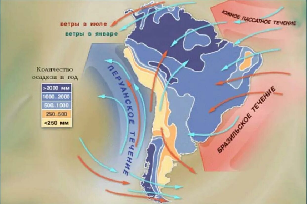 Климатических поясах расположен атлантический океан. Климатообразующие факторы Южной Америки. Влияние течений на климат. Ветра Южной Америки. Влияние течений на побережье.