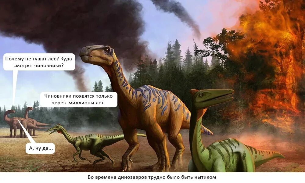 Динозавр есть есть песня. Динозавры того времени. люди во времена динозавров. жил динозавр был вечно в заботах. мемы времён динозавров.