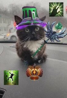 Коты дота 2