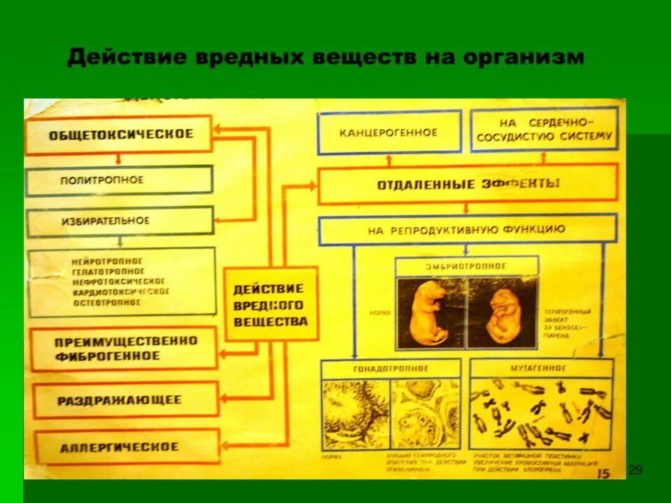 Опасные действия на производстве. Действие вредных веществ на организм. Влияние веществ на организм человека. Влияние вредных веществ на организм человека. Воздействие на организм токсических веществ.