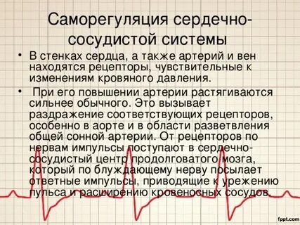 Саморегуляция сердца
