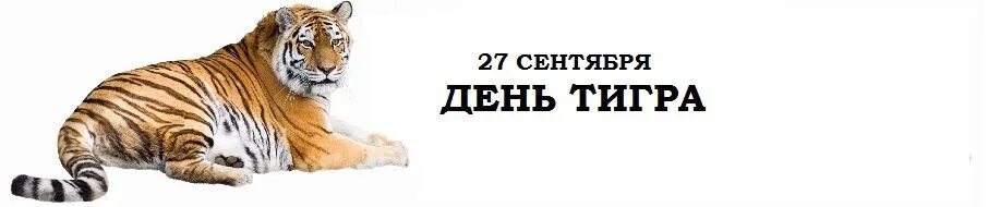 Тигр логотип. Амурский тигр надпись. День тигра. День тигра открытки. Международный день тигра 29 июля.