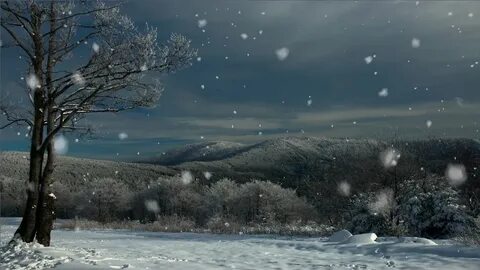 3 snowfall