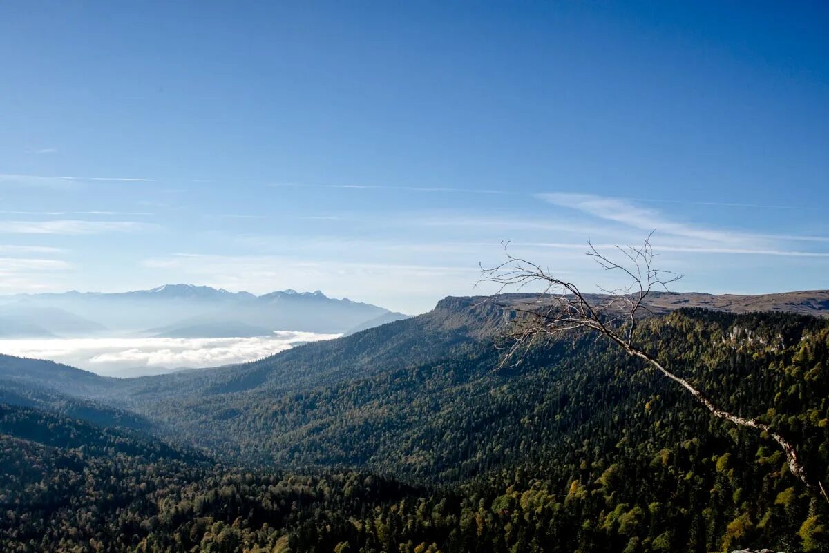хребет азиш-тау адыгея. азиш тау гора. хребет азиш. горная кубань лагонаки. хребет азиш-тау высота.