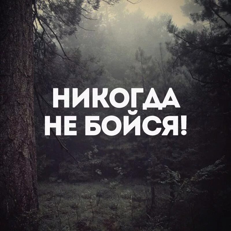 Ребенок никого не боится. Исламские цитаты. Никогда ничего не бойся. Храбрость не продлит мне жизнь. Никогда ничего не бояться.