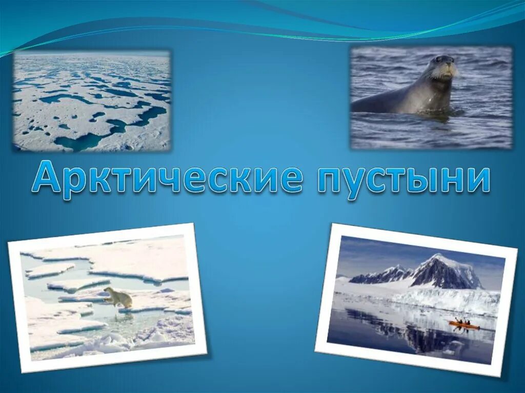 Природная зона арктических пустынь. Зона арктические пустыни 4 класс презентация. Зона арктические пустыни 4 класс презентация. Зона арктические пустыни 4 класс презентация. Зона арктические пустыни 4 класс презентация.