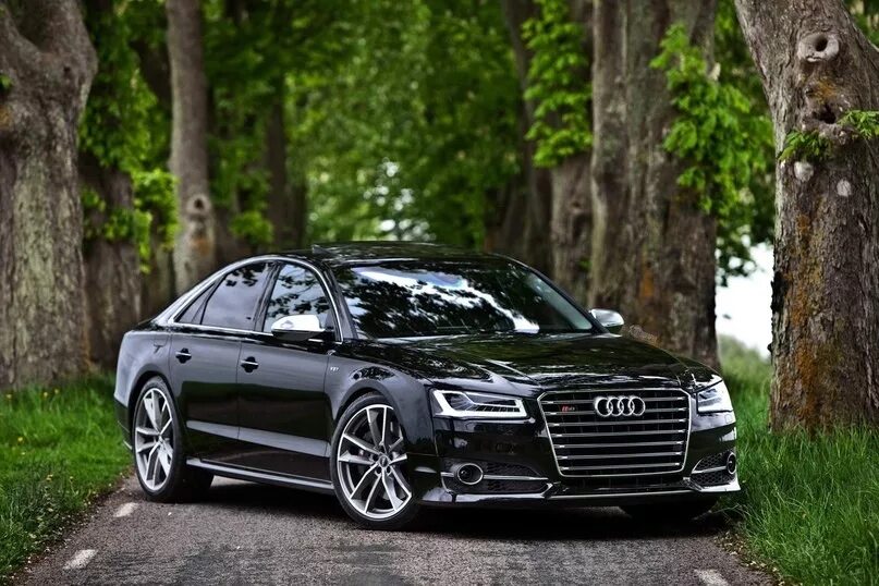 Замена габаритной лампы Audi S8 в Санкт-Петербурге - цены в автосервисах Вилгуд