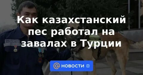 День работаю как собака
