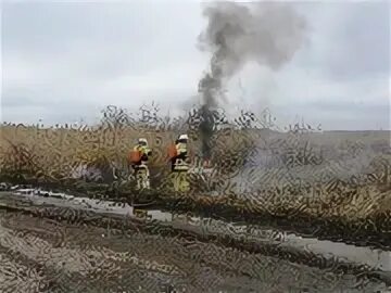 Погода плотников 2 волгоградской области михайловский район. Пожарная часть Хутор сухой. Хутор большой Волгоградская область Михайловский район. Хутор Плотников 2 Волгоградская область. Плотников 2 Михайловский район Волгоградской области.