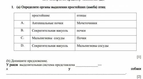 Таблица органы тип органы выделения покров Органоиды и органы выделения у животных.пожалуйста сорчно!!!! Школьные Знания.