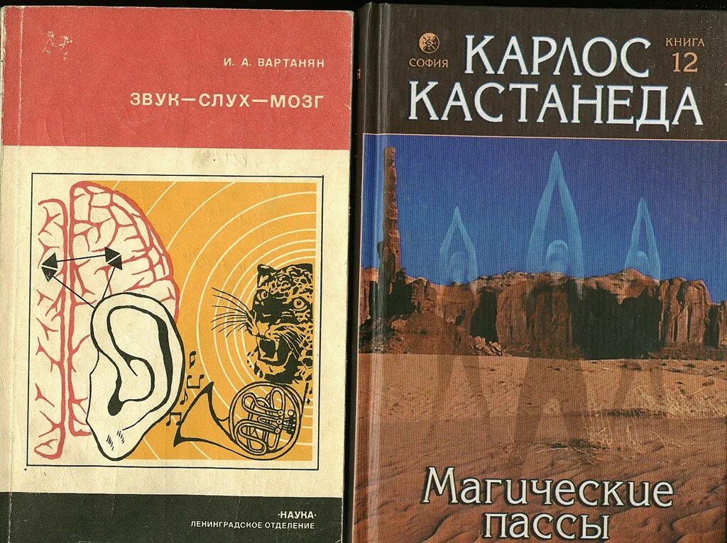 Звук слух мозг. Слух и мозг книга.