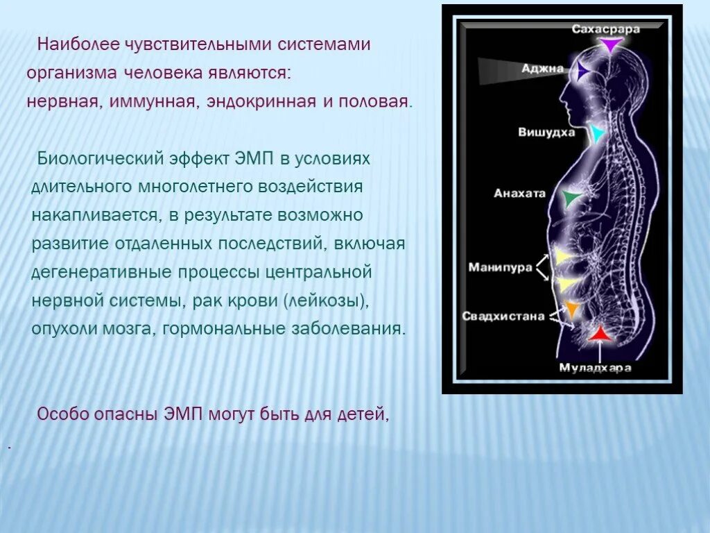 Чувствительный орган человека