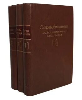 Основы биохимии