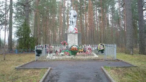 Селезни велижский