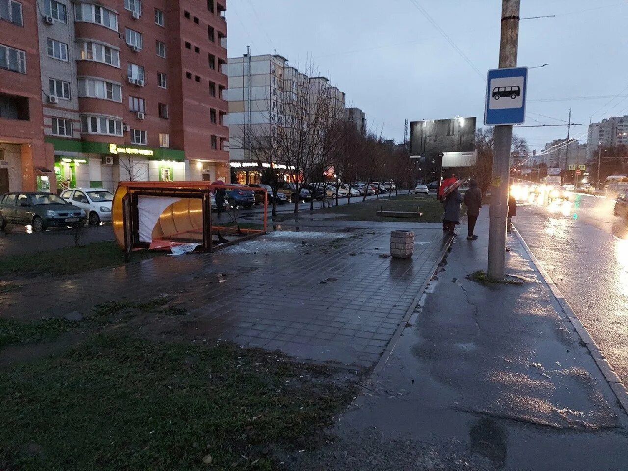 Ураганный ветер. Смерч в Ростове. Непогода в Ростове-на-Дону. Упавшие деревья на Российской улице в Ростове. Ветер в ростовской области