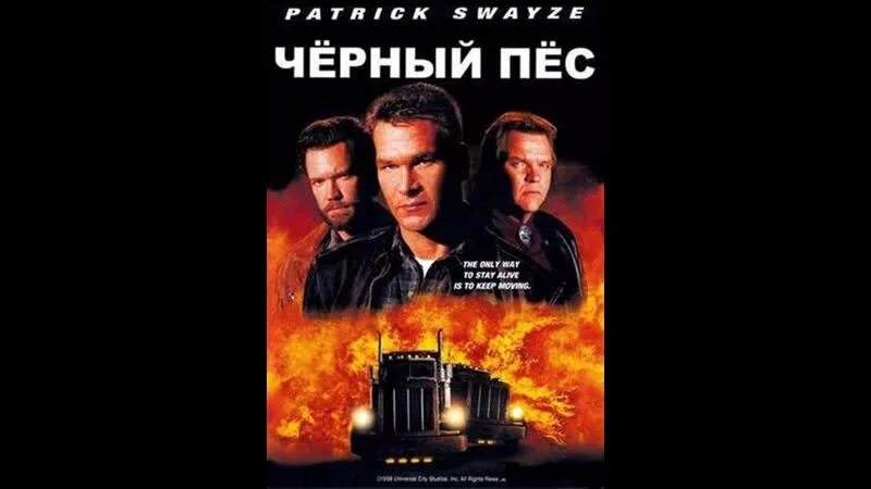 Черный пес песни. Чёрный пёс / Black Dog (1998). Черный пес Постер. Патрик Суэйзи черный пес.