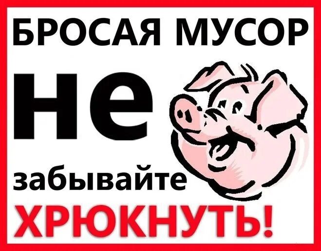 Почему вася отказывался покупать поросят в начале. Не мусорить свинья. Свинья мусорит.