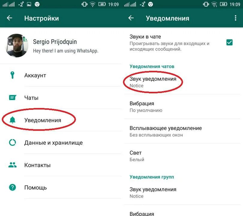 Пропали уведомления whatsapp. Звуковые сообщения в вотсапе. whatsapp звук уведомления. громкость уведомления whatsapp. звук в ватсапе при звонке.