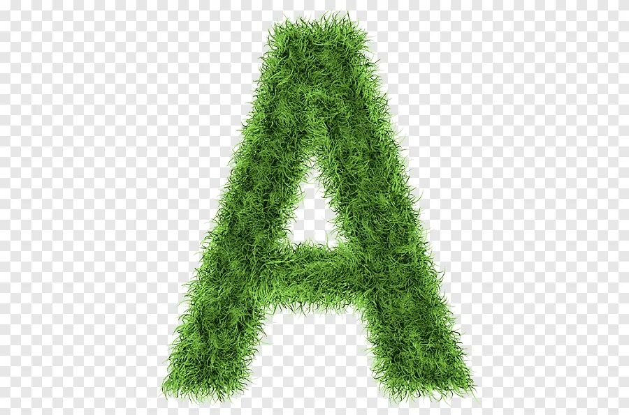 Зеленый цвет буквы. Буква а зеленая. Буквы зеленого цвета. Буква а салатовая. Буква с зеленая на белом фоне.