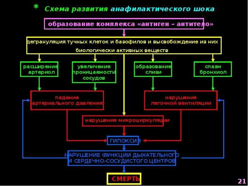 Максимальное время анафилактического шока. Схема развития анафилактического шока. Патогенез анафилактического шока схема. Механизм развития анафилактического шока. Схема развития анафилактической реакции.