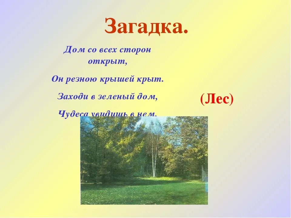 Загадки про лес короткие. Загадки про лес для детей. Загадка про дом. Загадки про лес 3 класс.