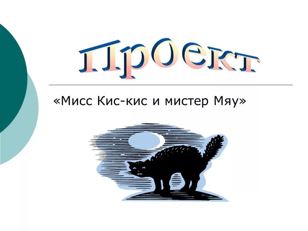 Мир кис. Мисс кис. Мисс кис кис кис. Мистер мяу мяу. Мисс кис кис офисал.