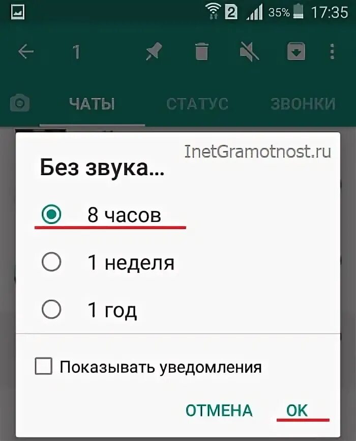 Включить звук вацапе. Пропал звук в ватсапе. Как включить звук в ватсапе. Нету звука в WHATSAPP. Отключить звук в ватсапе.