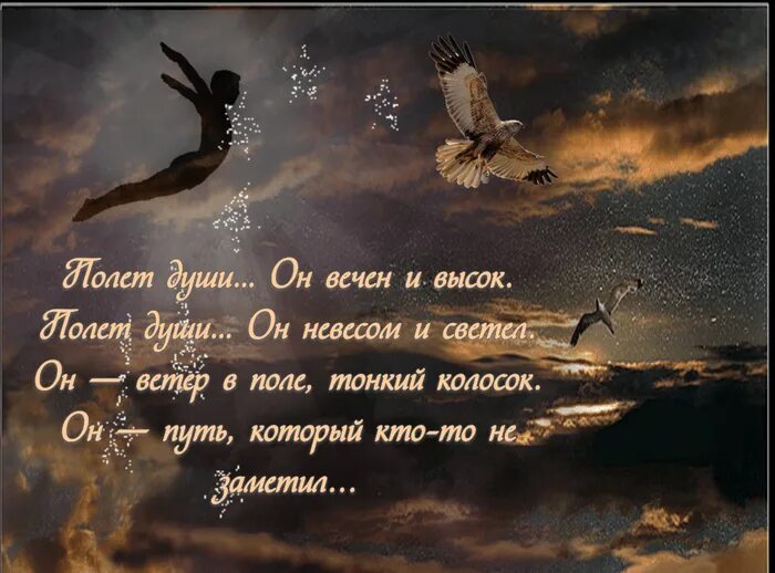 Пусть вырастут крылья. Красивые стихи. Красивый стих про душу человека. Стихи красивые со смыслом. Стихи для души со смыслом.