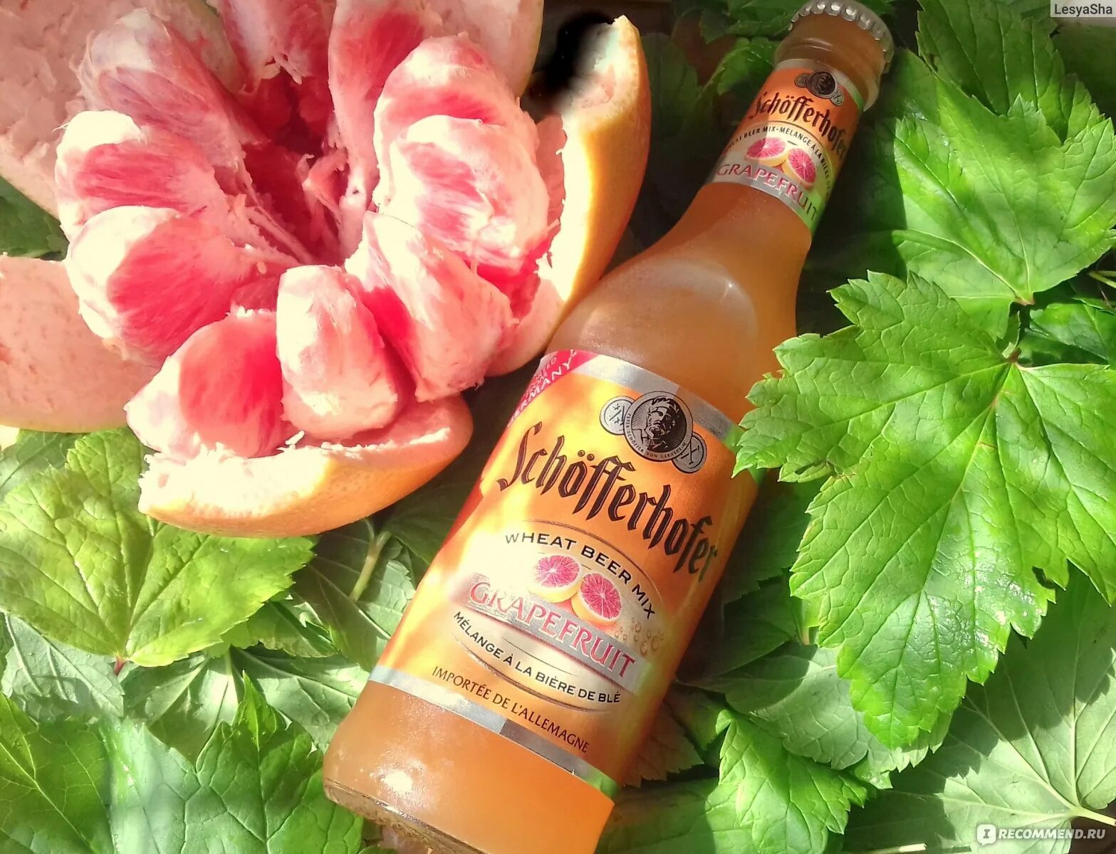 Пиво хугарден пшеничное нефильтрованное. Пивной напиток schofferhofer. Пивной напиток шофер хофер грейпфрут. Ловенбрау пшеничное безалкогольное 0,45л ж/б. Schofferhofer нефильтрованное.